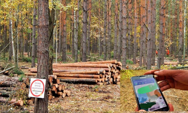 "Ліс у смартфоні" - додано Хмельницьку область