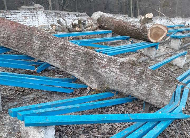Зрізаючи дерева комунальники потрощили лавочки на стадіоні «Локомотив»