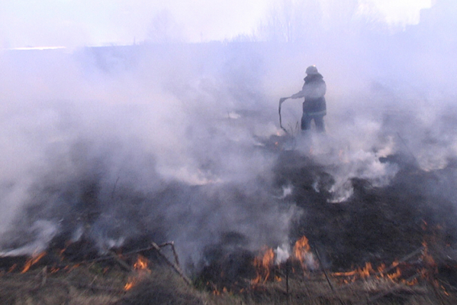 Через спалювання сухої трави в Шепетівці виникла пожежа