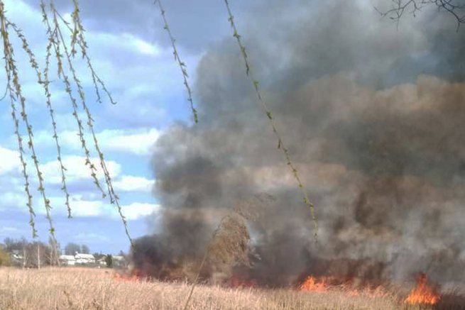 Минулої доби на Хмельниччині виникло 10 пожеж сухої трави