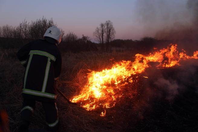 Хмельниччина у вогні: попри заборону не вщухають пожежі в екосистемах