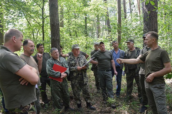 Лісовпорядкування в лісах Шепетівщини