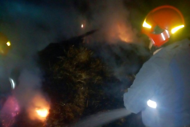 В Шепетівському районі згоріло 2 тонни сіна