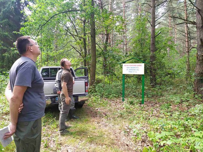 В ДП «Шепетівський лісгосп» відбулося обстеження стану ведення лісового насінництва